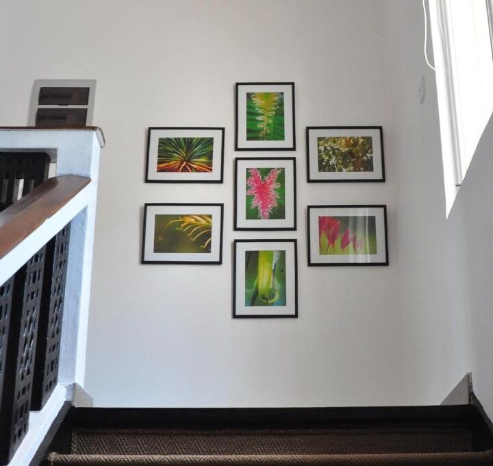 imgi 45 28756335 imgi 45 28756335